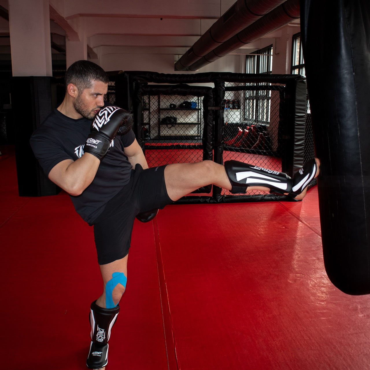 MMA Complete Bundle